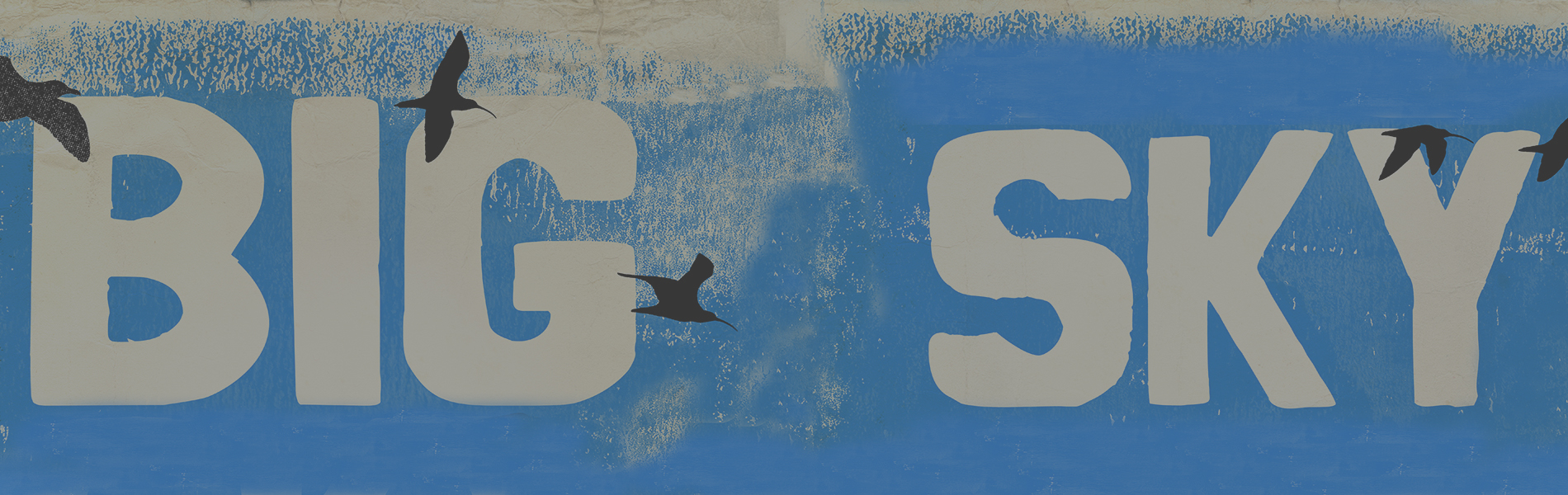 Big Sky Northumberland Acoustic duo